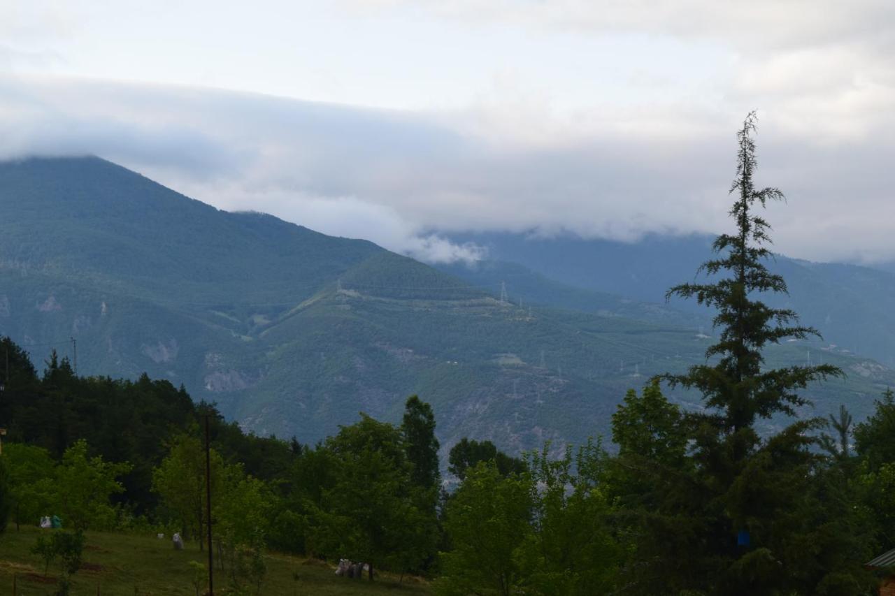 Mars Otel Artvin Eksteriør billede