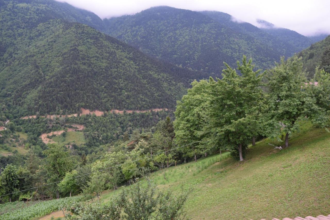 Mars Otel Artvin Eksteriør billede