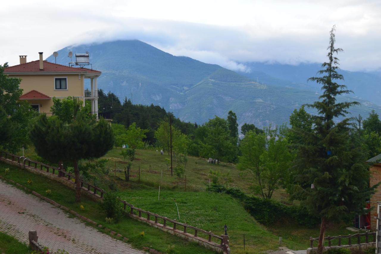 Mars Otel Artvin Eksteriør billede