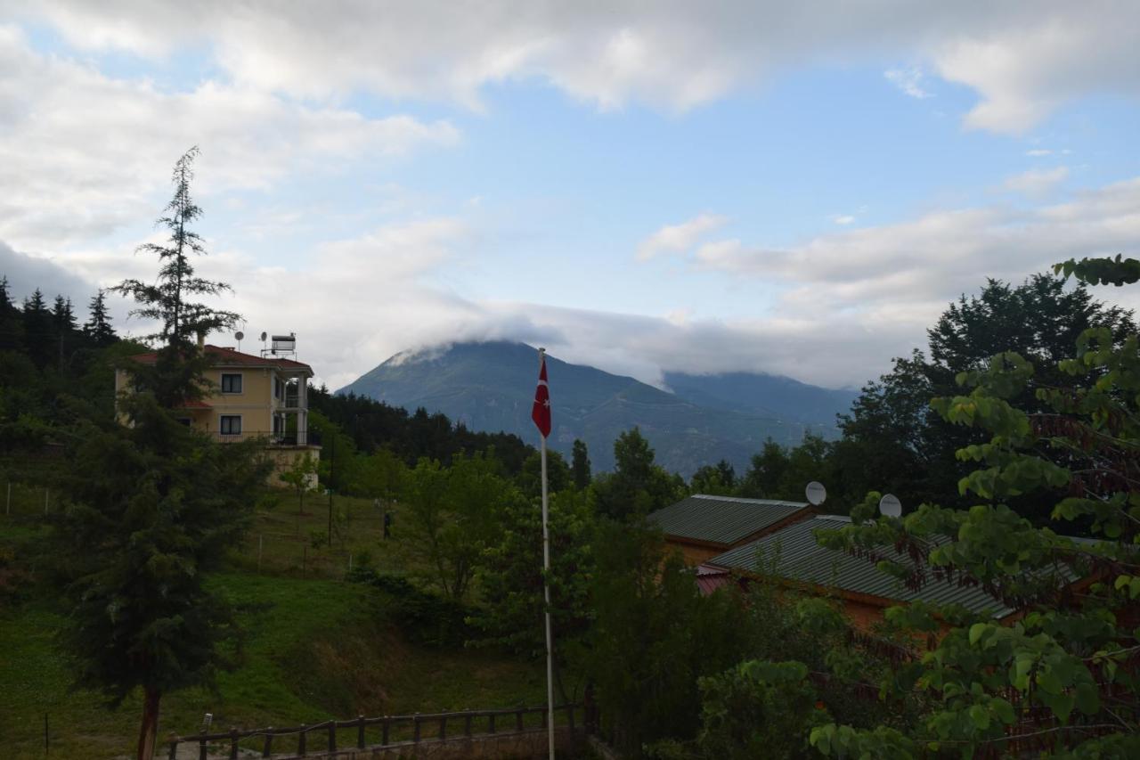 Mars Otel Artvin Eksteriør billede