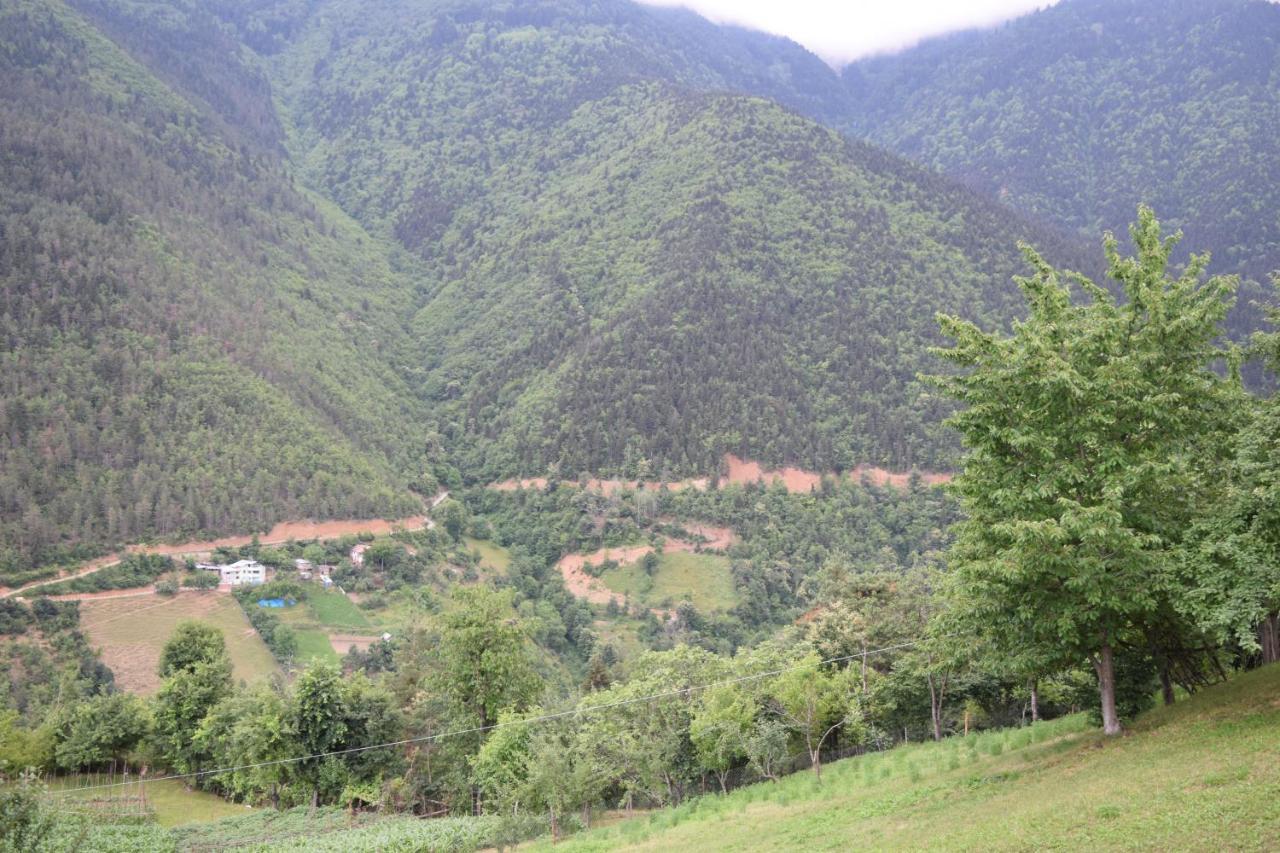 Mars Otel Artvin Eksteriør billede