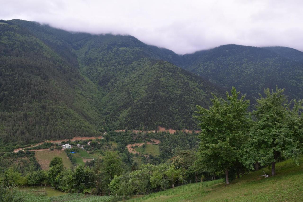 Mars Otel Artvin Eksteriør billede