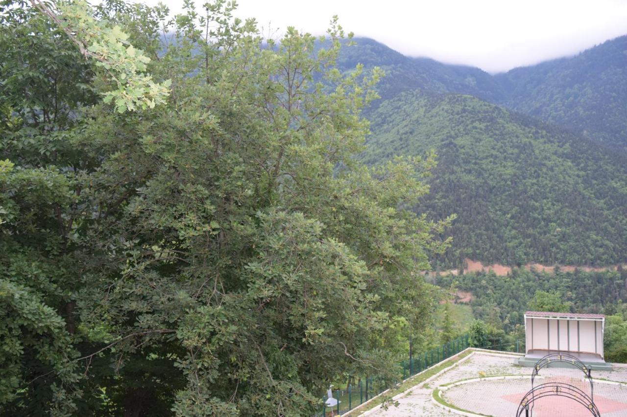 Mars Otel Artvin Eksteriør billede