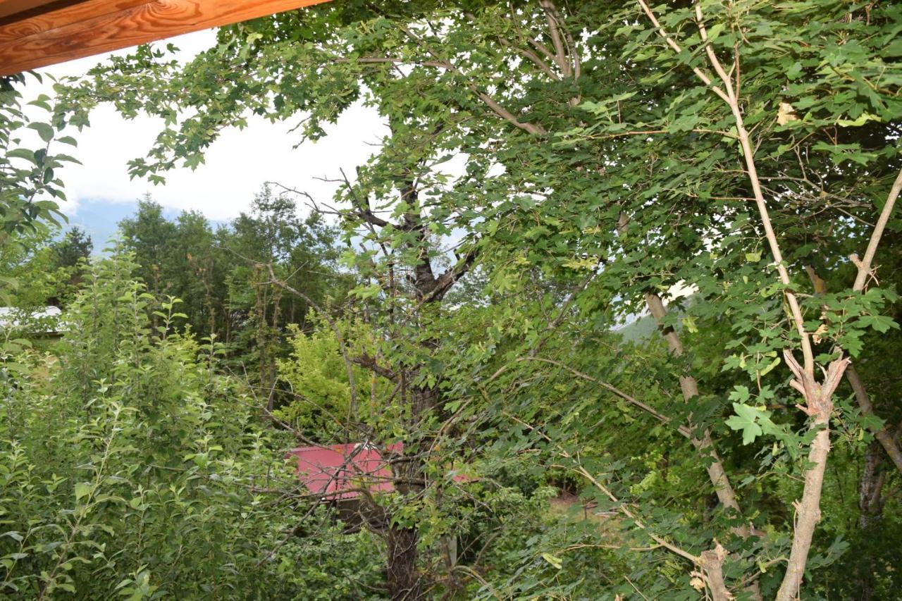 Mars Otel Artvin Eksteriør billede